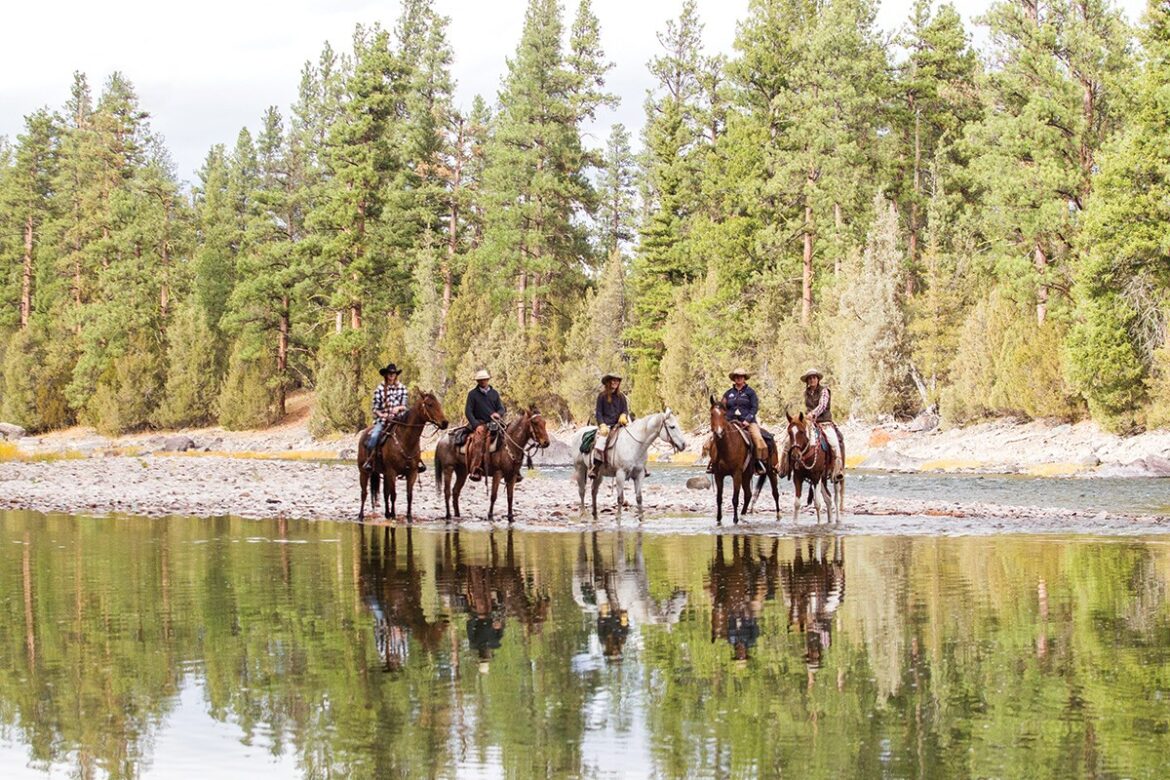The Definitive Guide to Equestrian Vacations in the USA